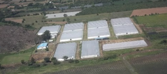Hidroponica de Guatemala
