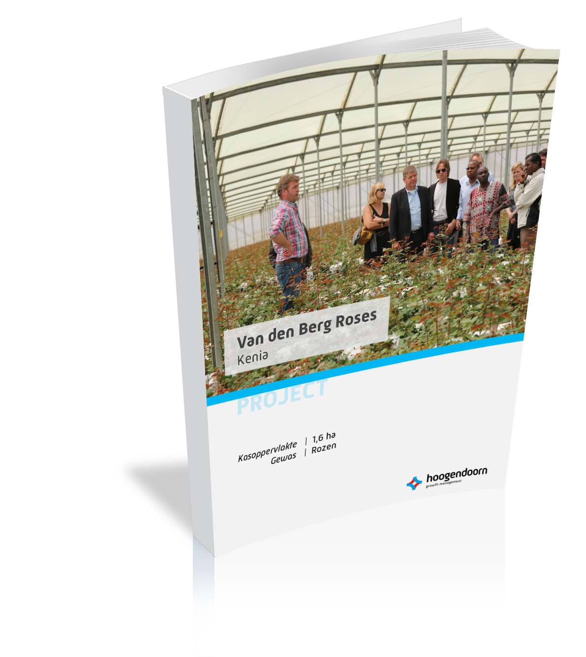 Van den Berg Roses | Hoogendoorn Growth Management